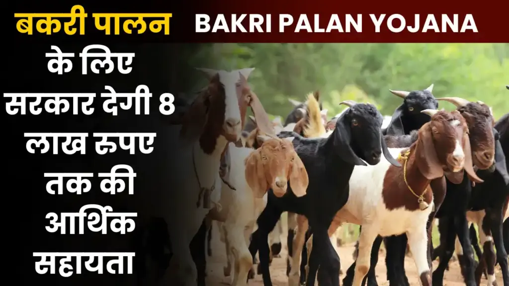 Bakri Palan Yojana